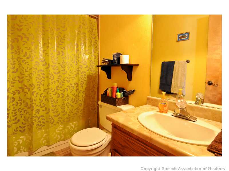 9490 Ryan Gulch Road, Unit 103 Silverthorne, CO 80498 - Photo 10 of 18 Bathroom.