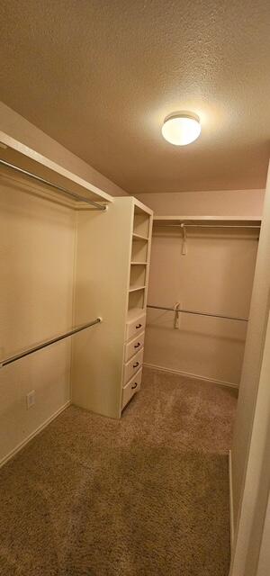 6010 94th Street Lubbock, TX 79424 - Photo 19 of 23 4303