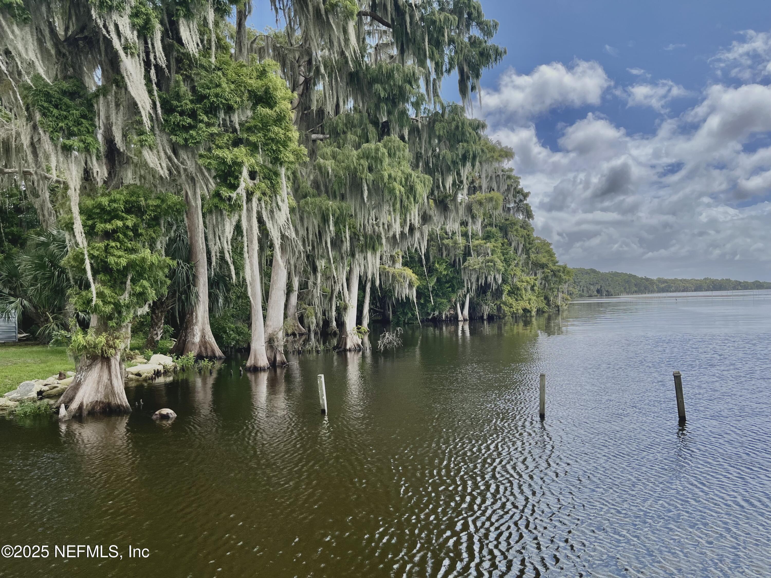 118 July Avenue Georgetown, FL 32139 - Photo 21 of 21 a view of lake