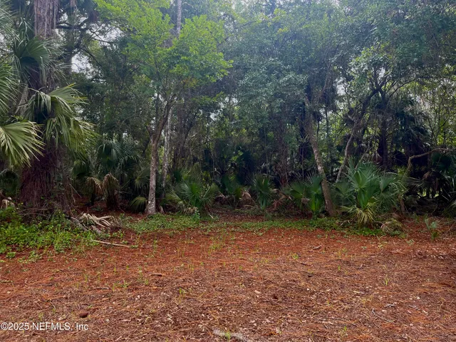a view of outdoor space with trees