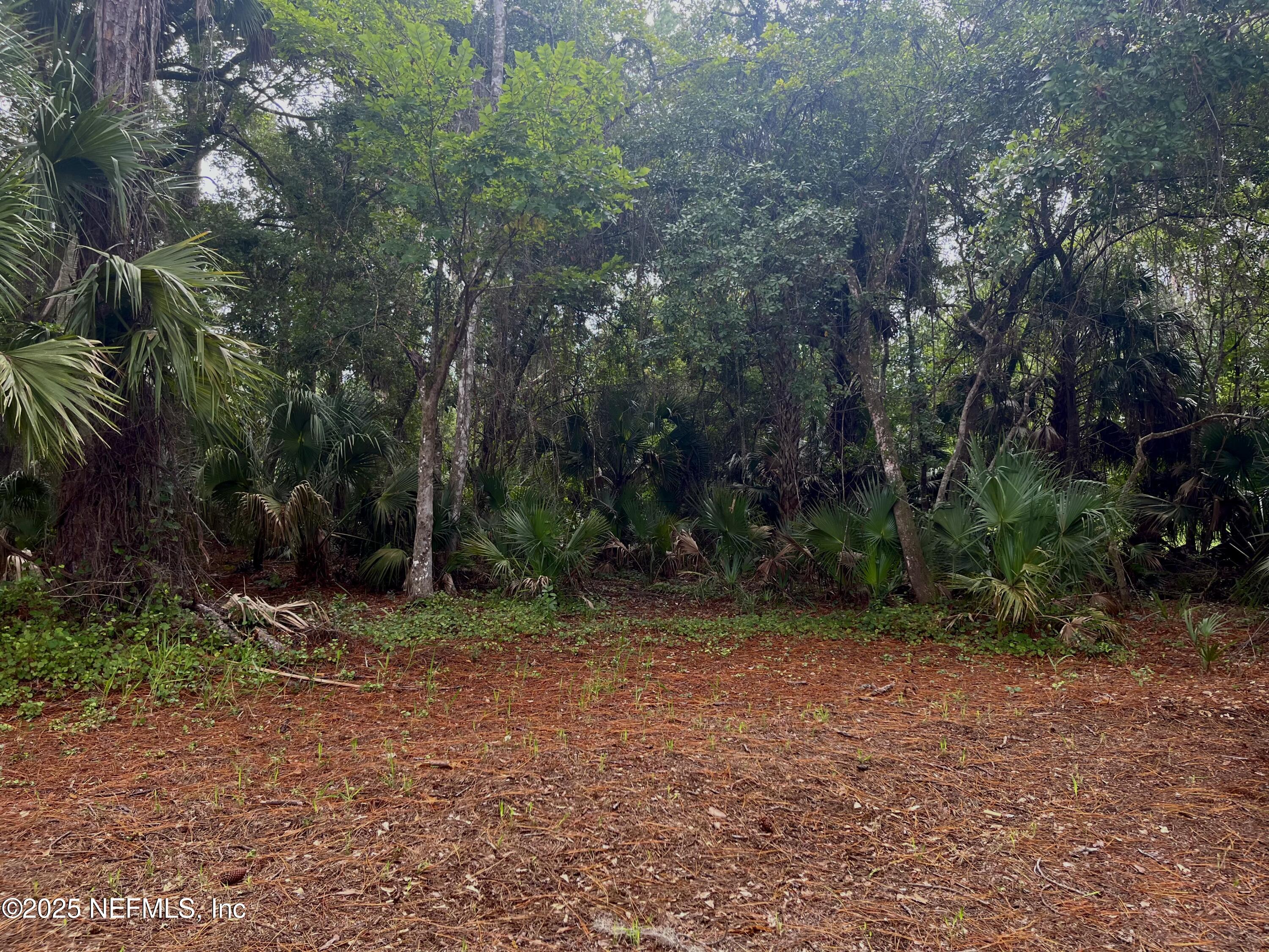 118 July Avenue Georgetown, FL 32139 - Photo 5 of 21 a view of outdoor space with trees