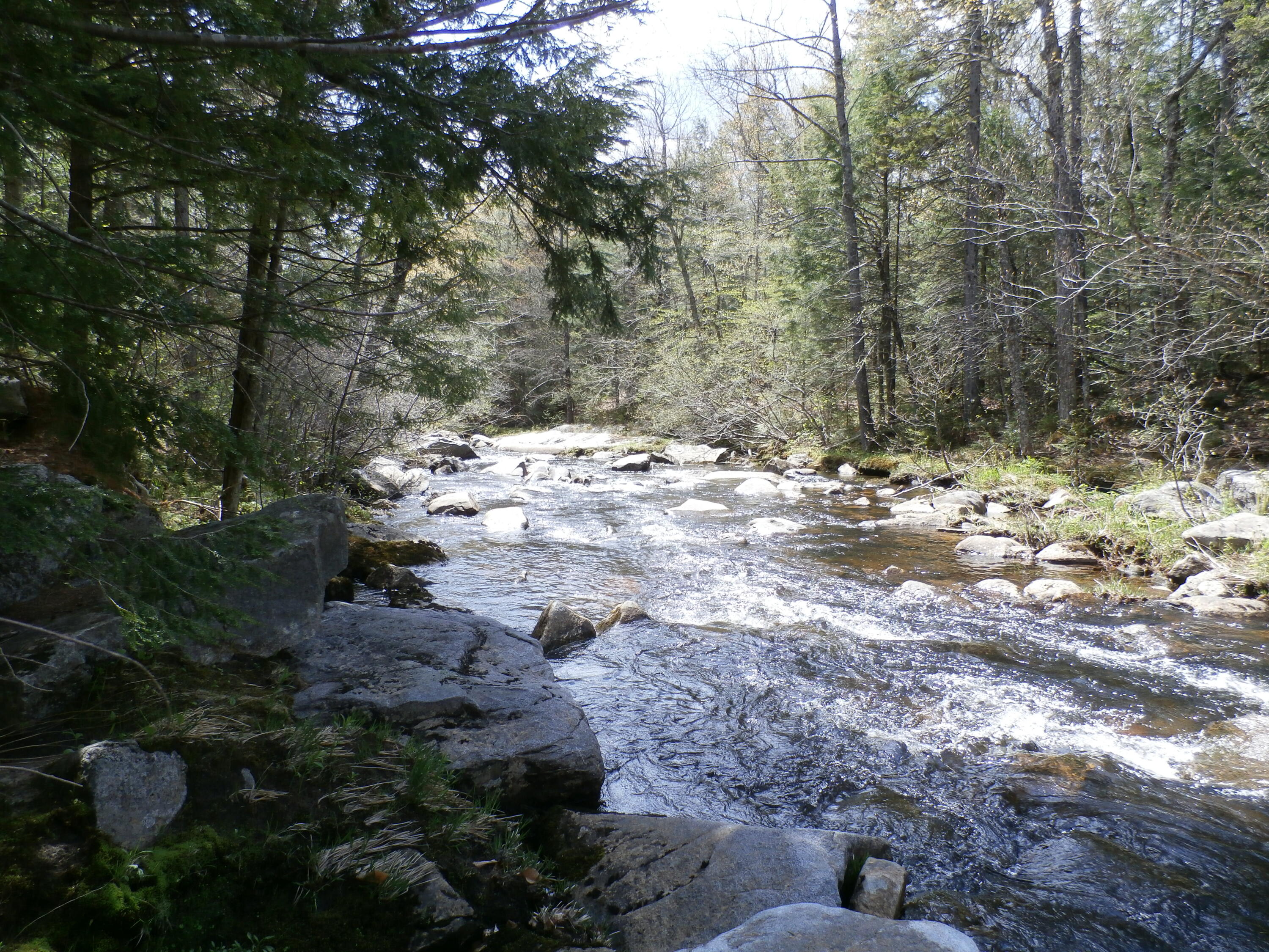 1021 South Arm Road Andover, ME 04216 - Photo 29 of 58 P5140869
