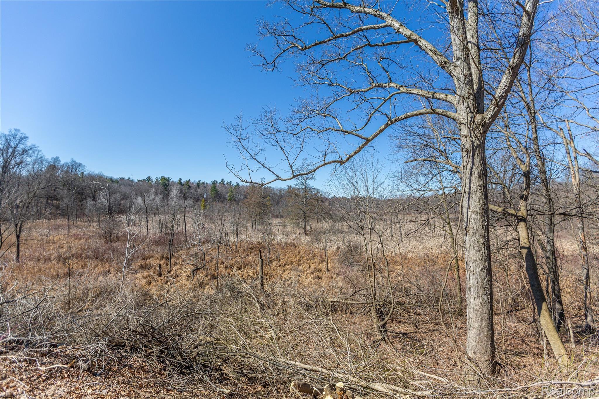 10881 Wiggins Road Howell, MI 48855 - Photo 31 of 32 XE1A3714-15.jpg