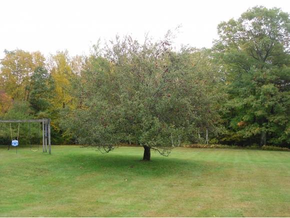 91 Mickeys Road Arlington, VT 05250 - Photo 25 of 29 Gallery Image 25