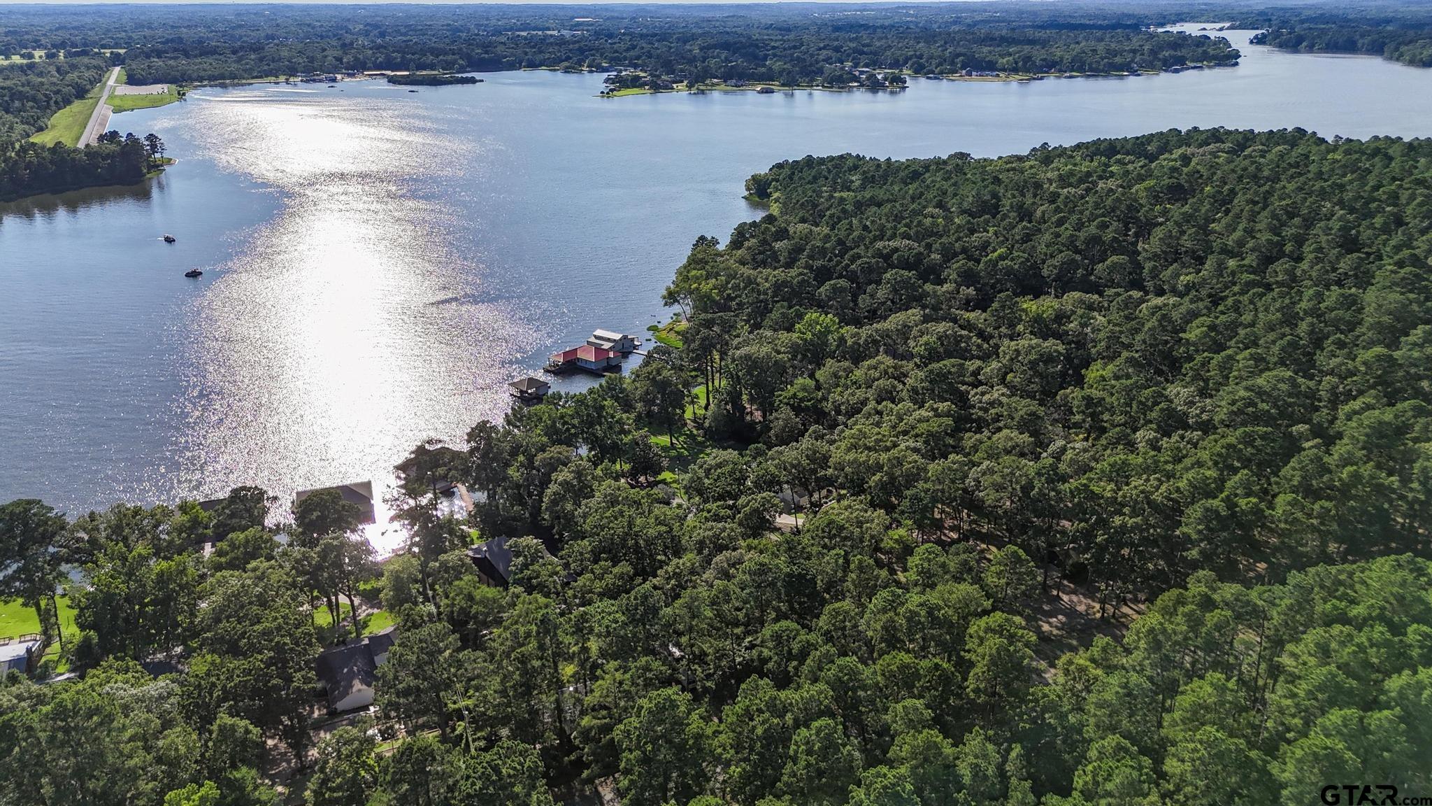 18392 Eastside Road Troup, TX 75789 - Photo 18 of 19 an aerial view of a houses with lake view