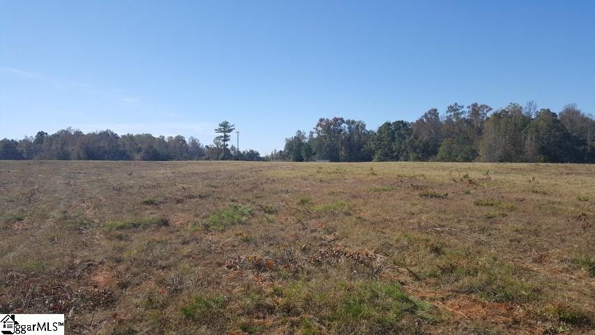 Finley Road Belton, SC 29627 - Photo 3 of 10