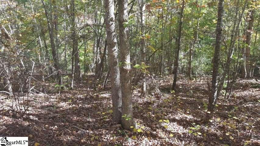 Finley Road Belton, SC 29627 - Photo 4 of 10