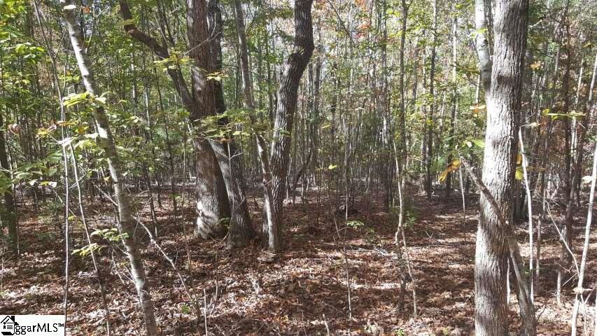 Finley Road Belton, SC 29627 - Photo 6 of 10