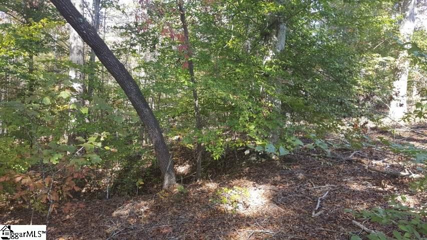 Finley Road Belton, SC 29627 - Photo 7 of 10