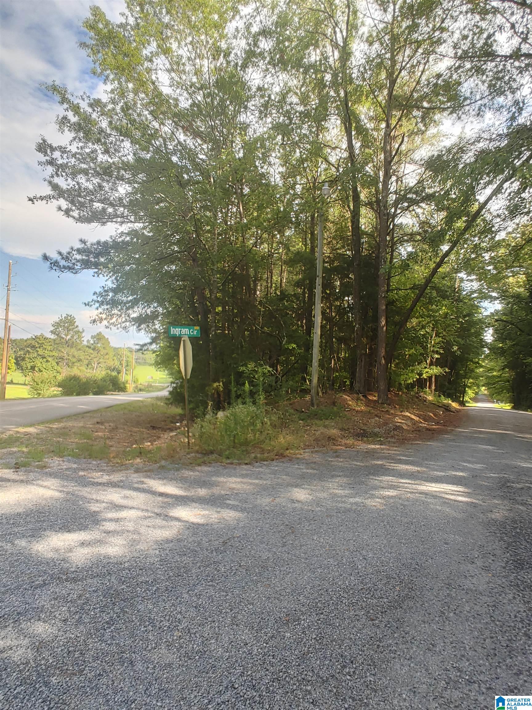 791-5 Dry Valley Road Lincoln, AL 35096 - Photo 2 of 6 Gallery Image 2