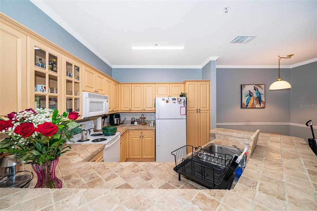 3707 Conroy Road, Unit 1715 Orlando, FL 32839 - Photo 13 of 20 a living room with a couch and a potted plant