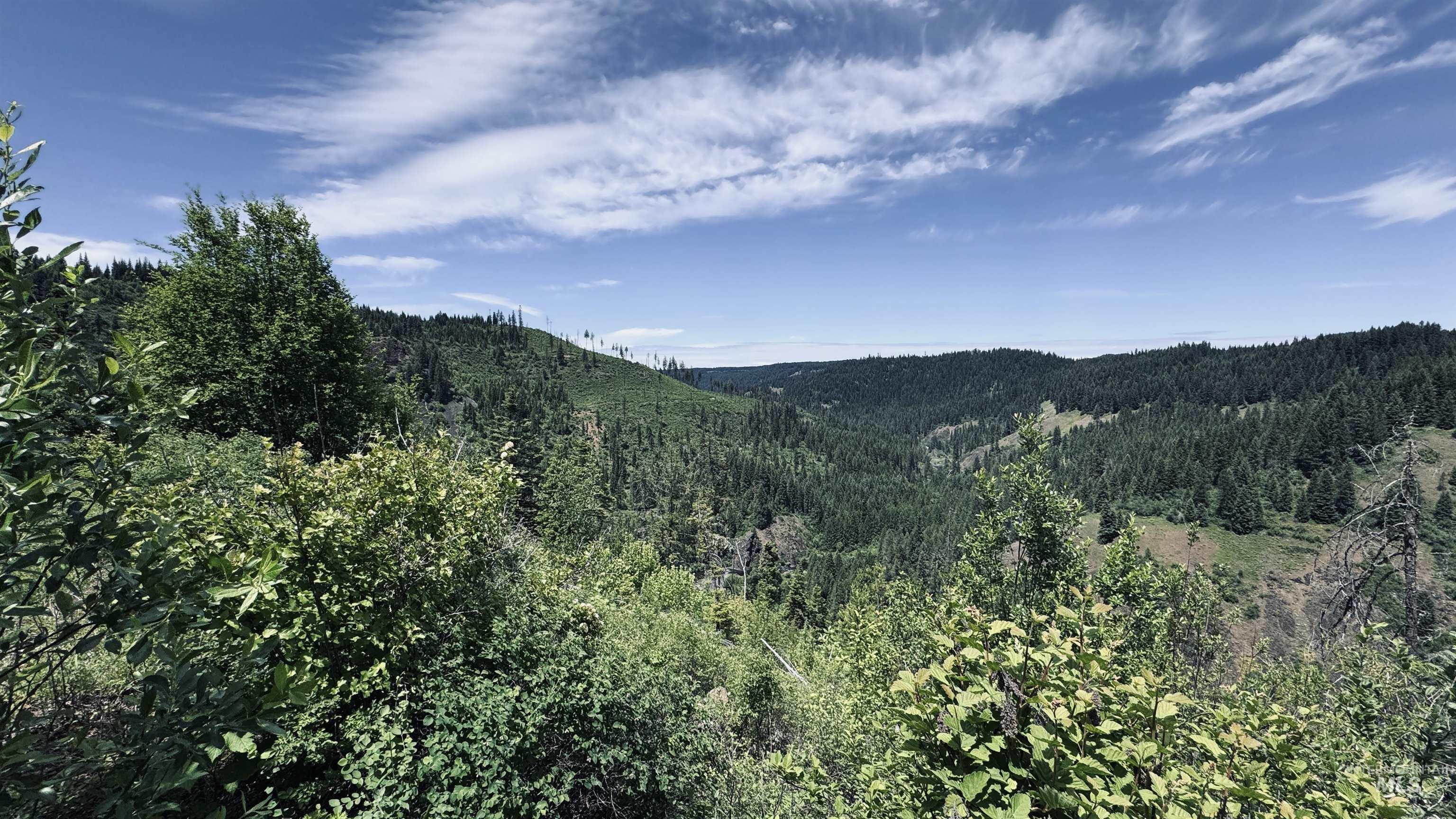 Tbd Glenwood Road Kamiah, ID 83536 - Photo 21 of 50