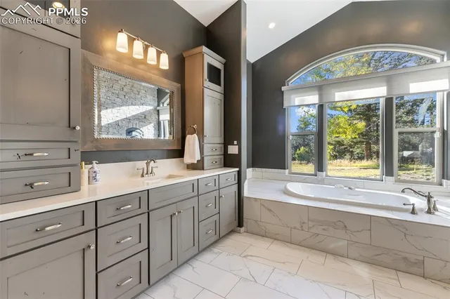 a bathroom with a sink a mirror and a shower
