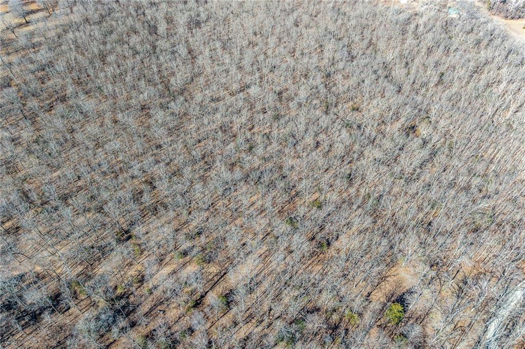 1 Lindley Road Buffalo, MO 65622 - Photo 12 of 57