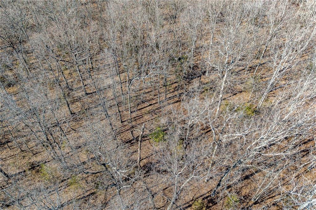 1 Lindley Road Buffalo, MO 65622 - Photo 16 of 57