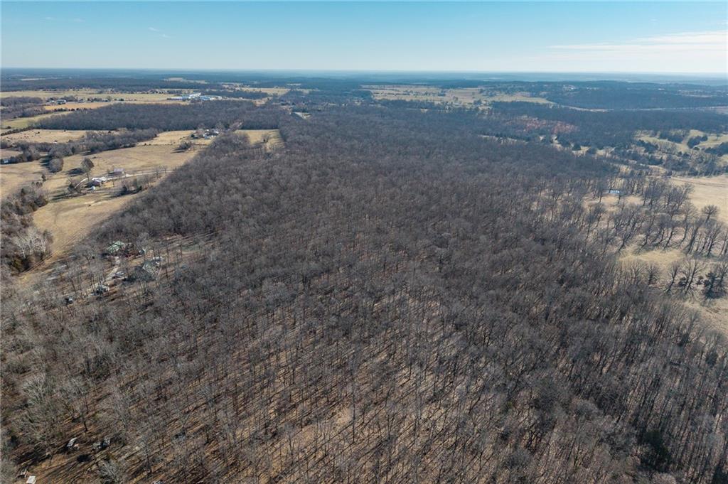 1 Lindley Road Buffalo, MO 65622 - Photo 18 of 57