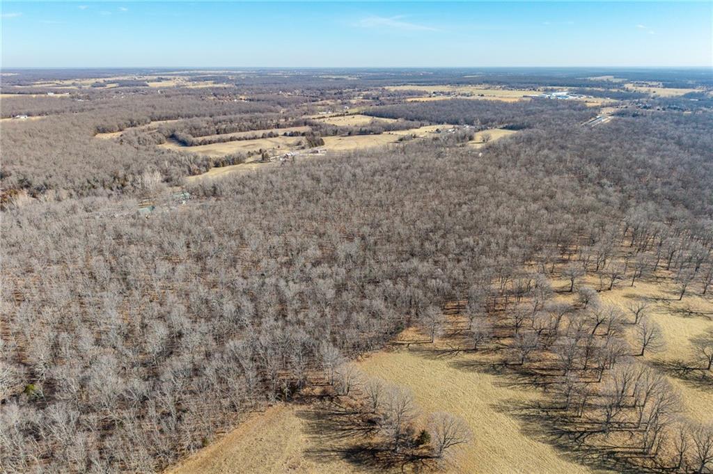 1 Lindley Road Buffalo, MO 65622 - Photo 20 of 57