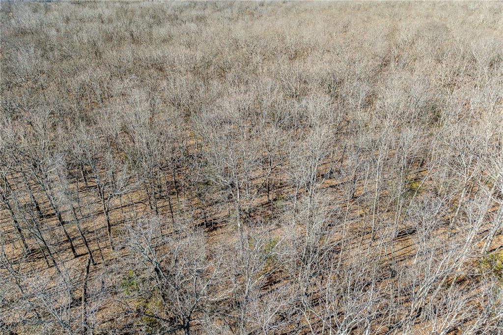 1 Lindley Road Buffalo, MO 65622 - Photo 25 of 57