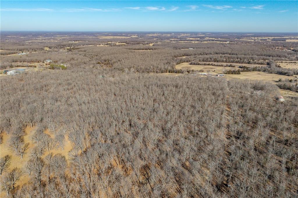 1 Lindley Road Buffalo, MO 65622 - Photo 30 of 57