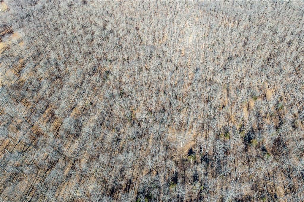 1 Lindley Road Buffalo, MO 65622 - Photo 33 of 57