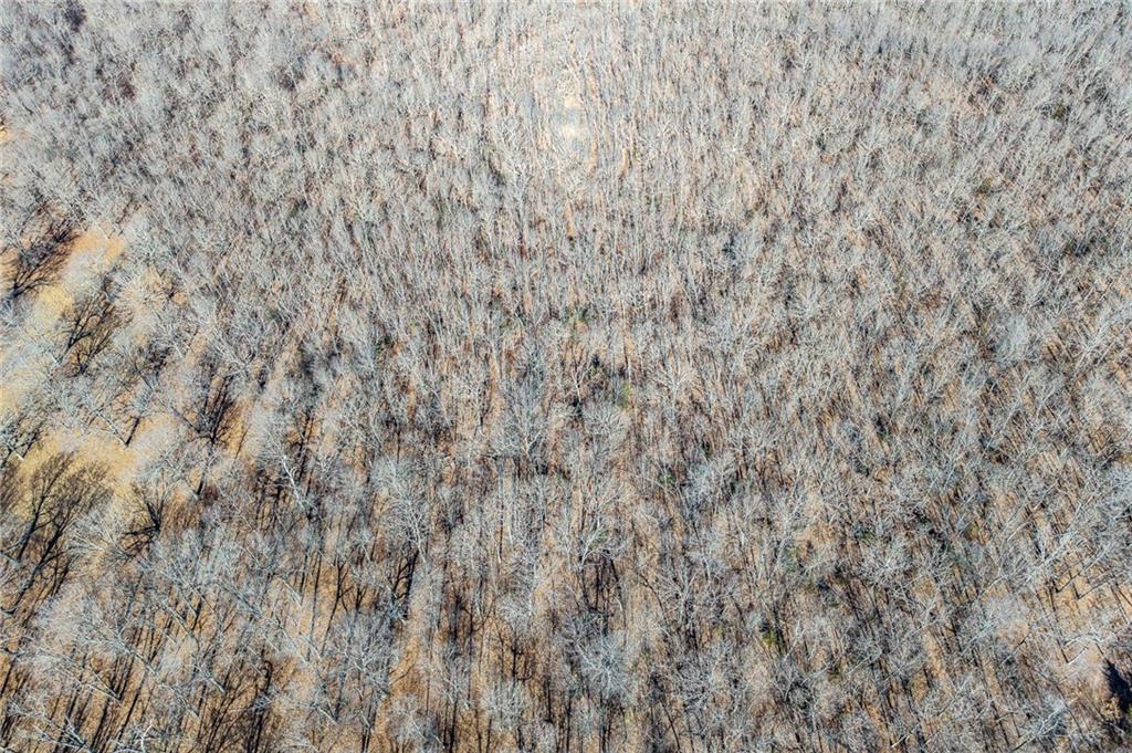 1 Lindley Road Buffalo, MO 65622 - Photo 42 of 57