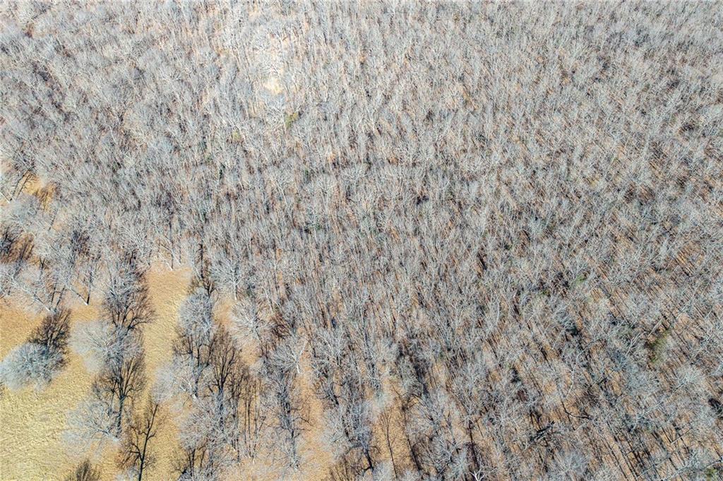 1 Lindley Road Buffalo, MO 65622 - Photo 51 of 57