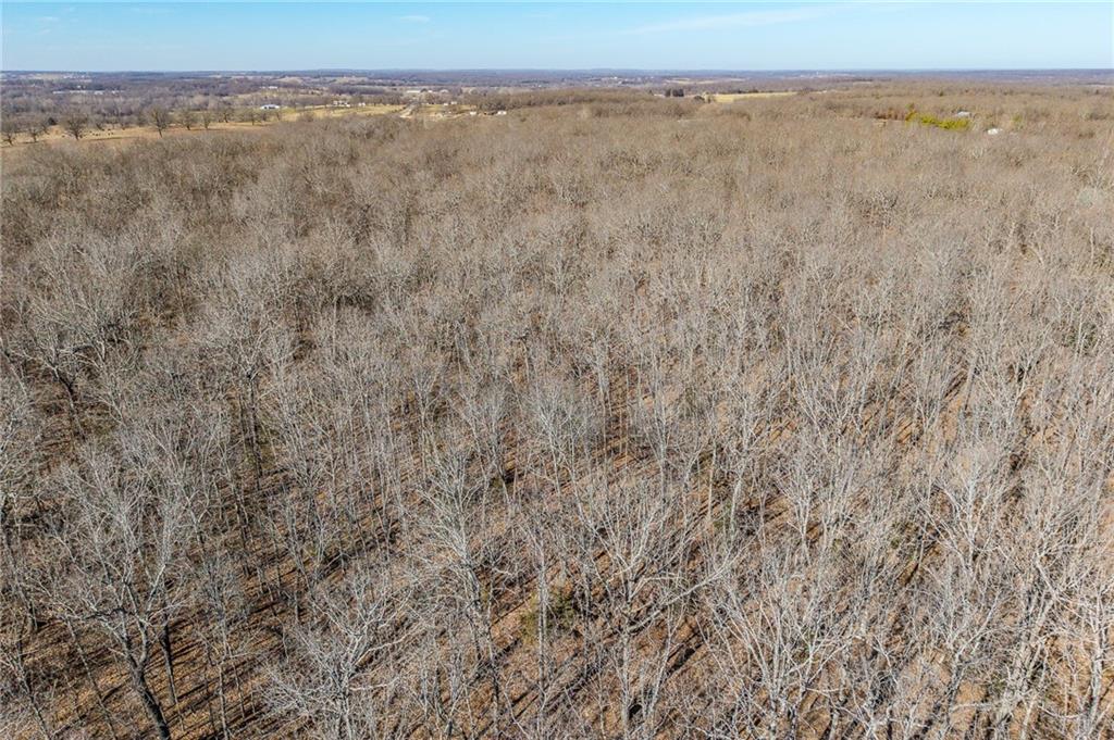 1 Lindley Road Buffalo, MO 65622 - Photo 54 of 57