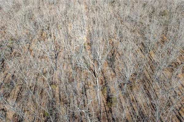 $129,900 | 1 Lindley Road, Buffalo, MO 65622