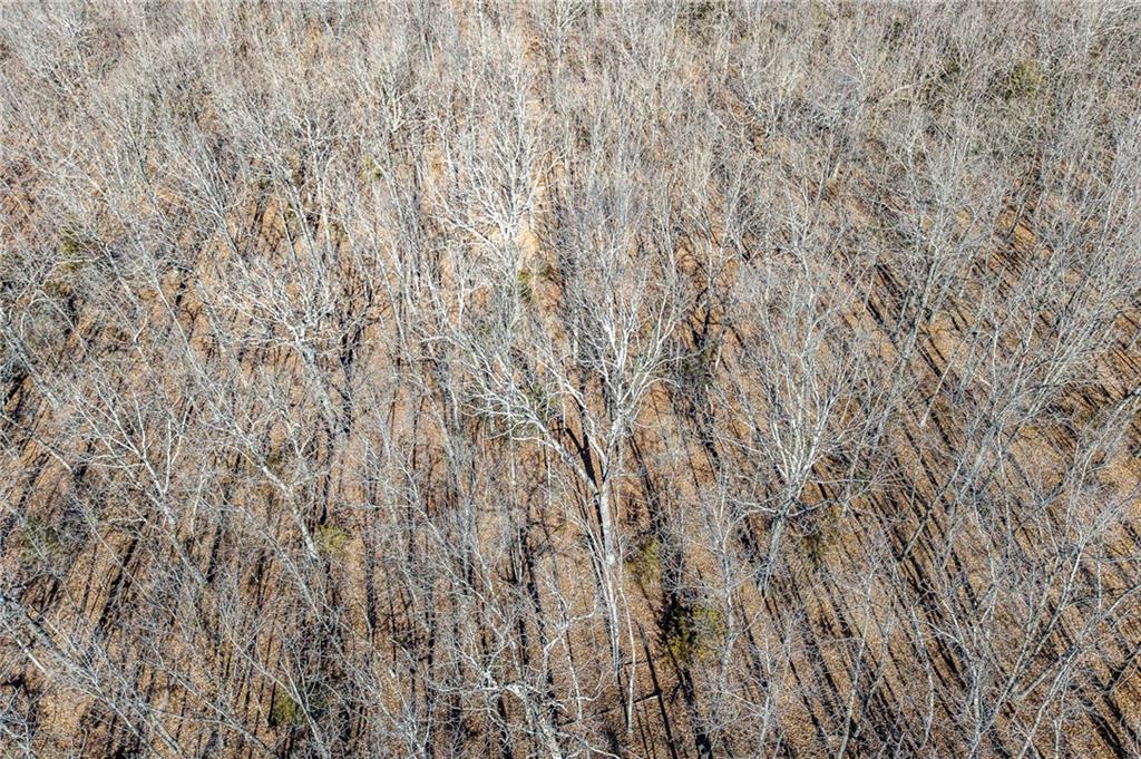 1 Lindley Road Buffalo, MO 65622 - Photo 55 of 57