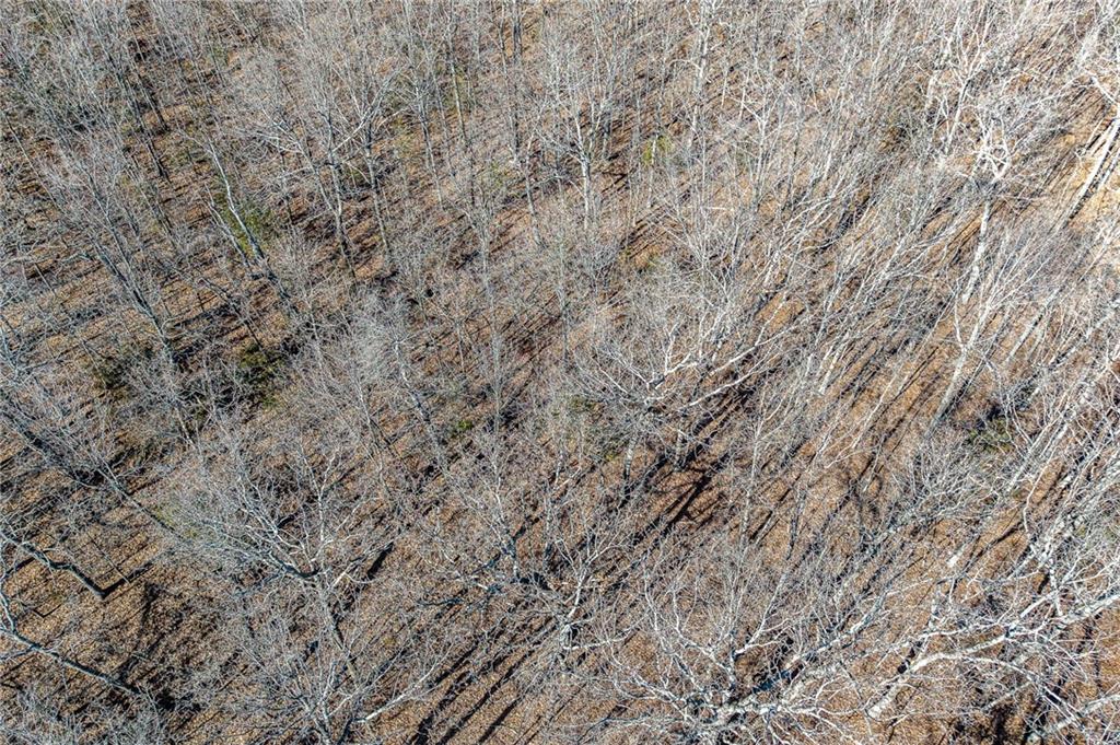 1 Lindley Road Buffalo, MO 65622 - Photo 8 of 57