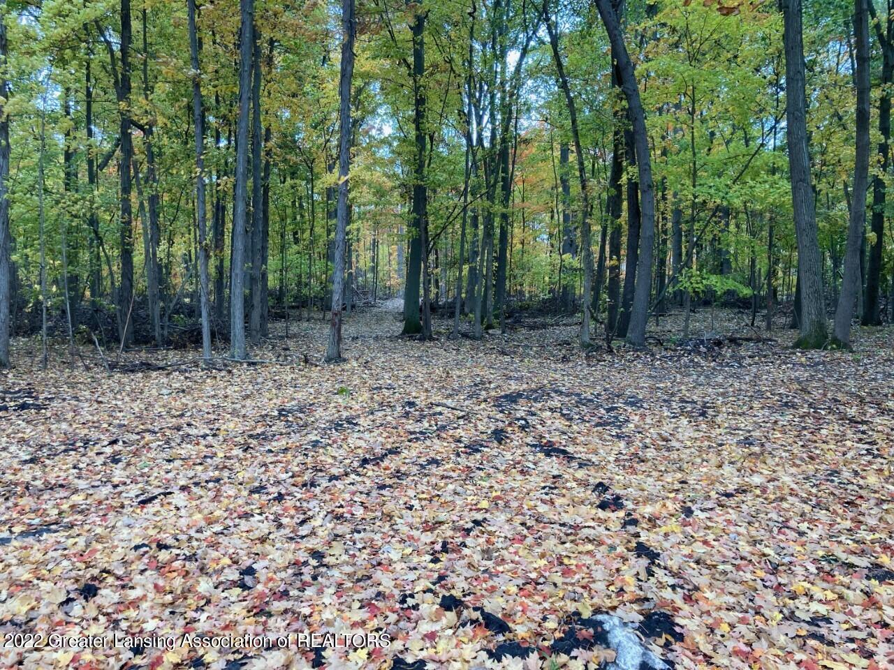 0 East Maple Rapids Road Elsie, MI 48831 - Photo 5 of 7 land