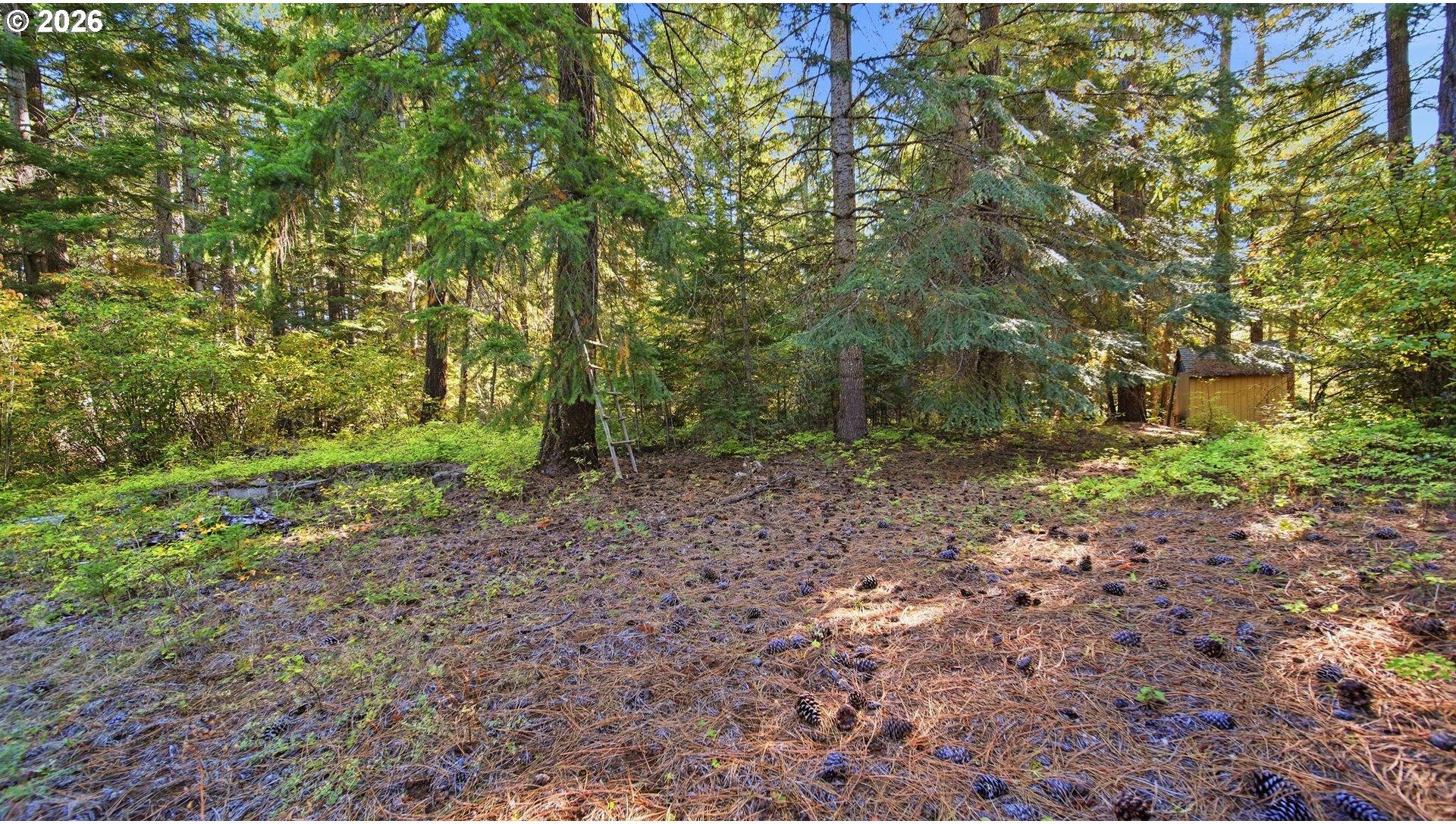 7 Mill Road Appleton, WA 98602 - Photo 9 of 15 Gallery Image 9