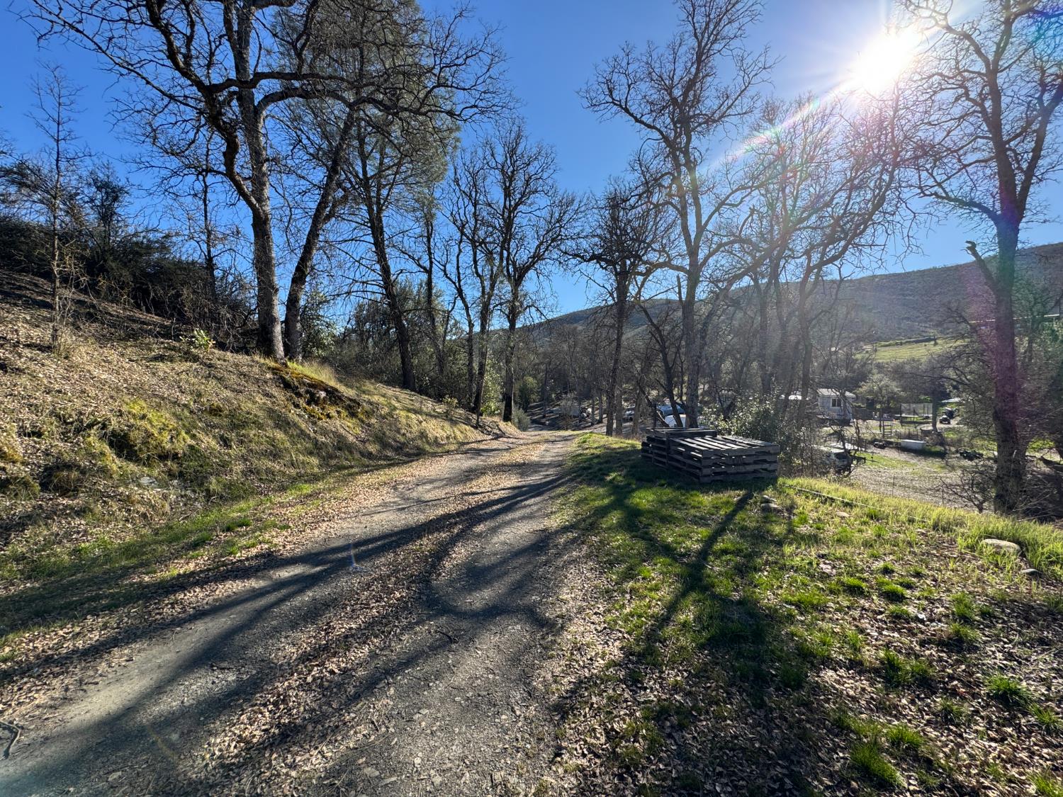 4968 Yaqui Gulch Road Mariposa, CA 95338 - Photo 25 of 28 a view of yard with trees
