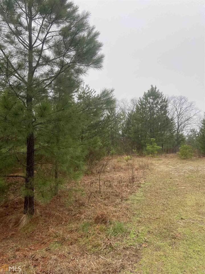 1825 Hunters Creek Road Toccoa, GA 30577 - Photo 1 of 1