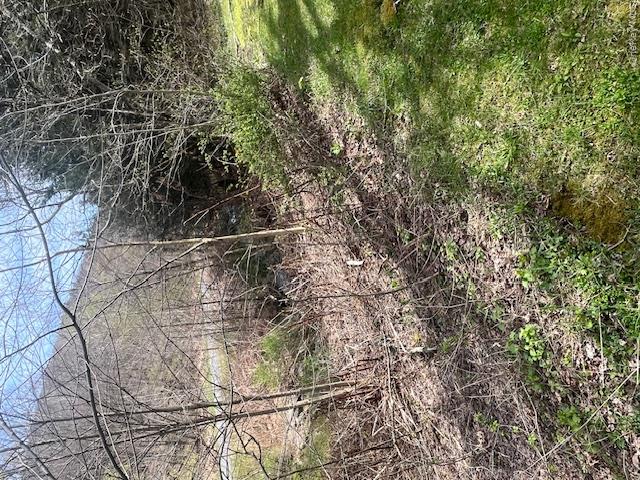 1468 Beers Brook Road Walton, NY 13856 - Photo 12 of 12