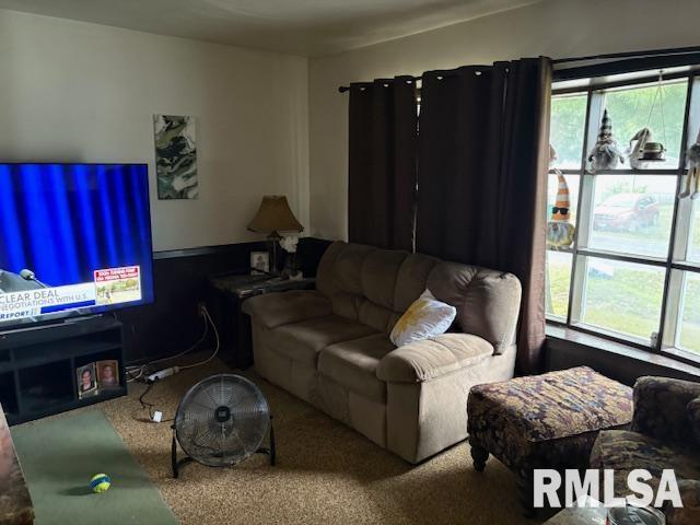 800 North Stephens Avenue Springfield, IL 62702 - Photo 2 of 5