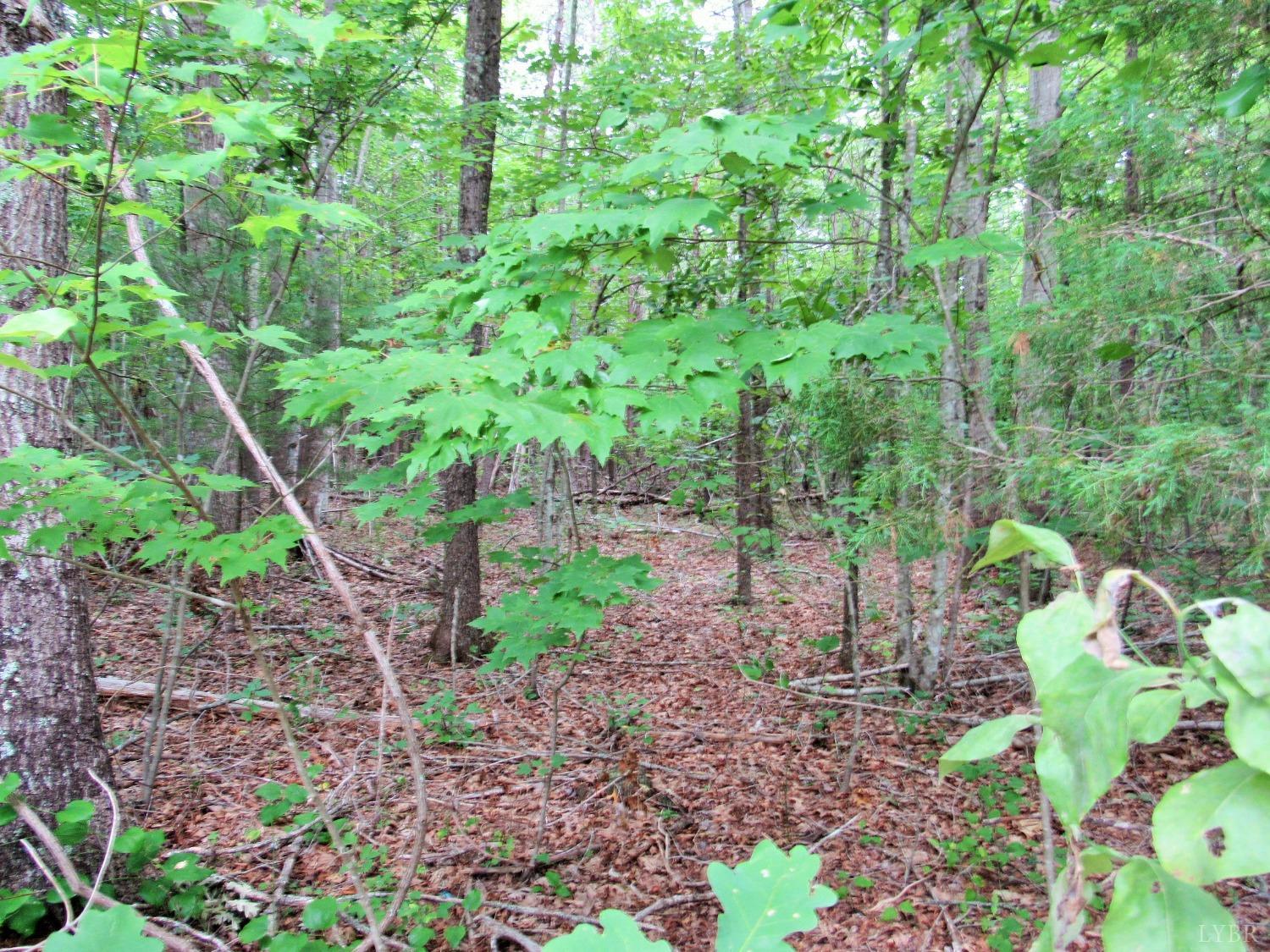 4 West Perch Road Monroe, VA 24574 - Photo 2 of 4 a backyard of a house with lots of green space