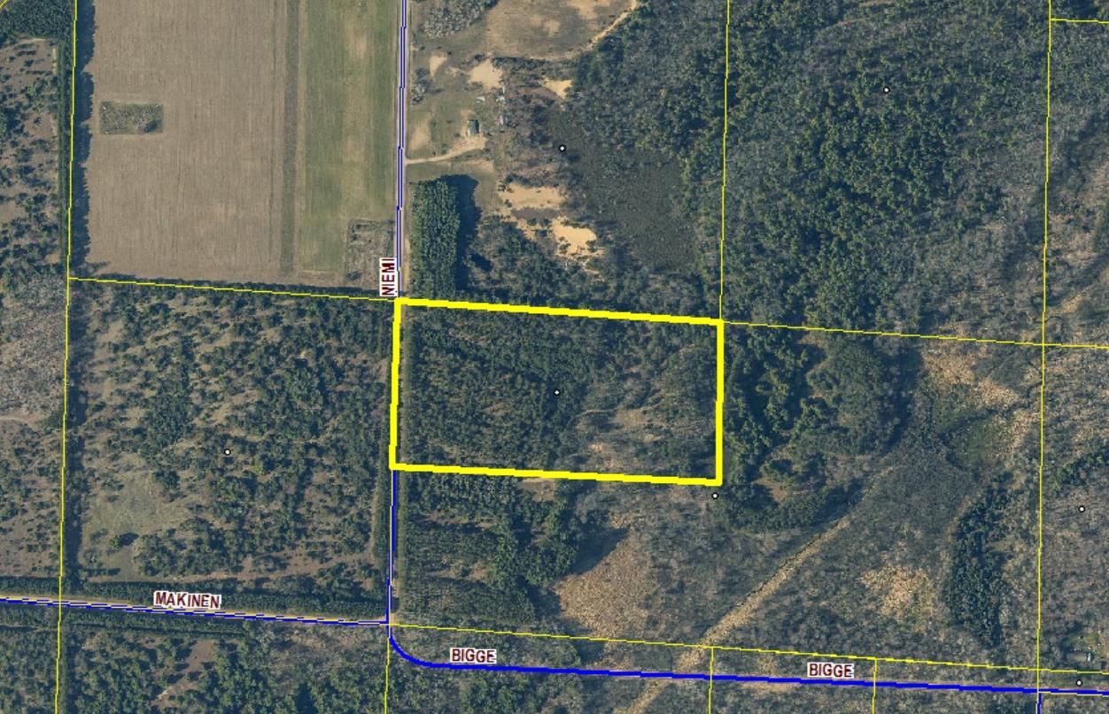 0 Niemi Road Kaleva, MI 49645 - Photo 22 of 23
