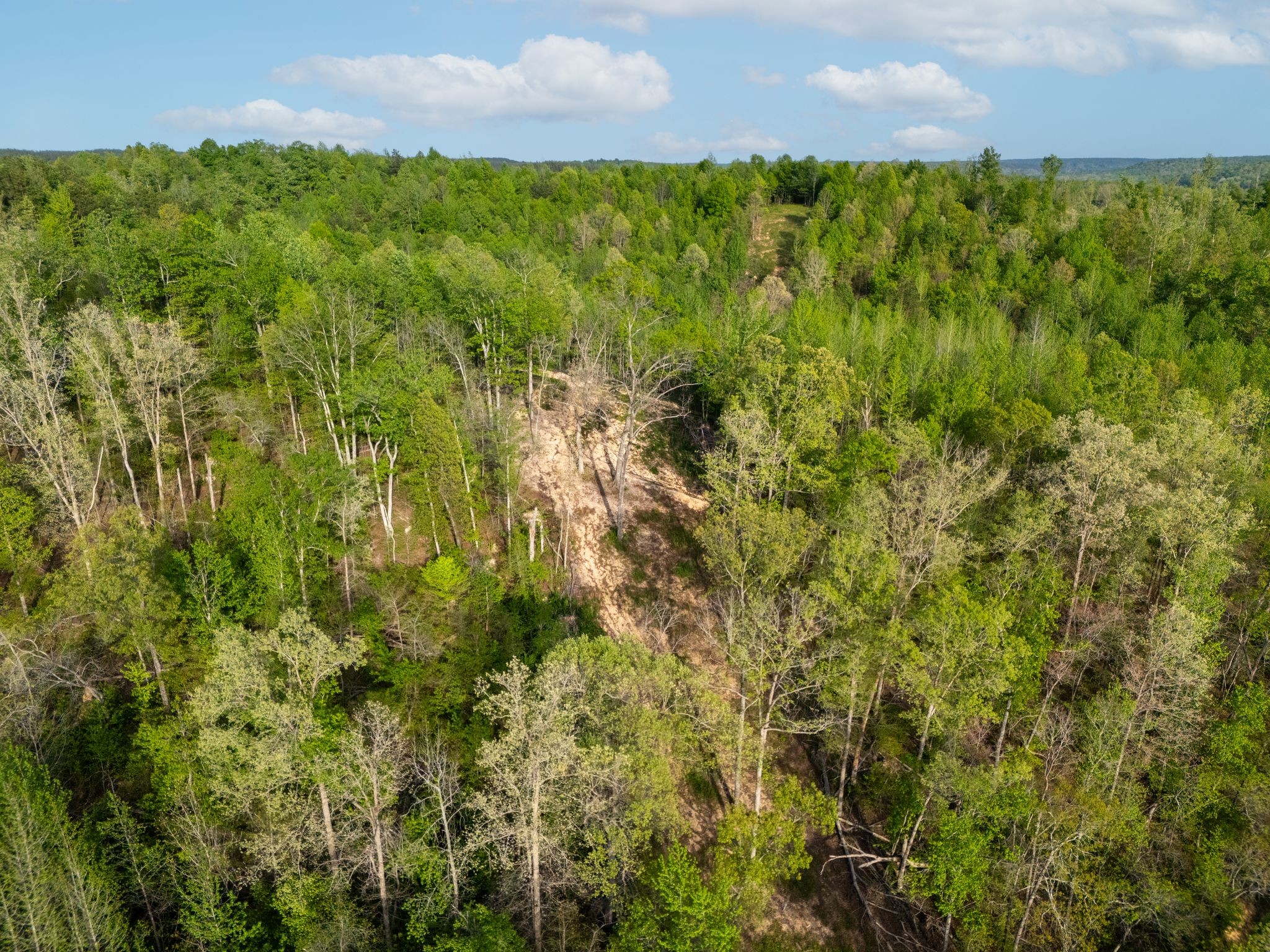 664 Russ Valley Road Lobelville, TN 37097 - Photo 46 of 63