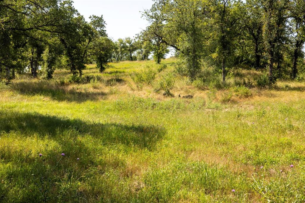 1005 Carter Lane Santo, TX 76472 - Photo 3 of 7