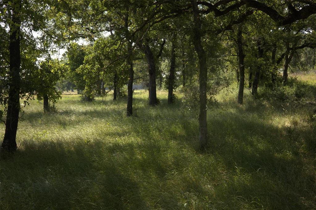 1005 Carter Lane Santo, TX 76472 - Photo 4 of 7