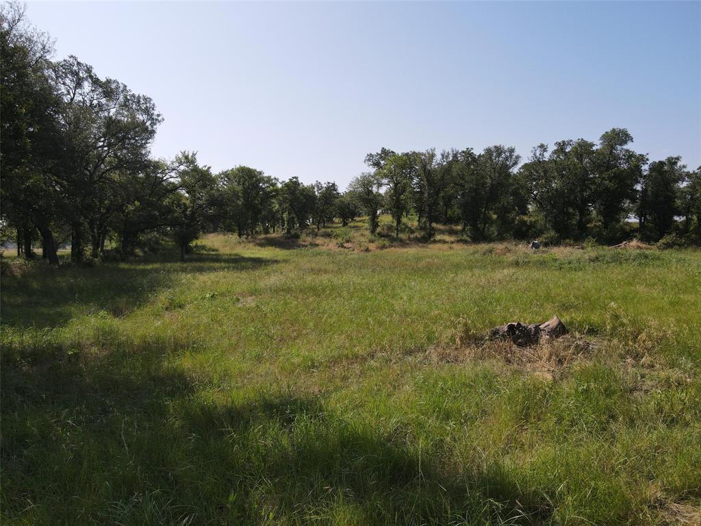 1005 Carter Lane Santo, TX 76472 - Photo 6 of 7