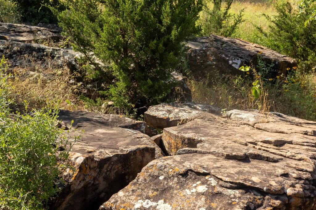 1005 Carter Lane Santo, TX 76472 - Photo 7 of 7