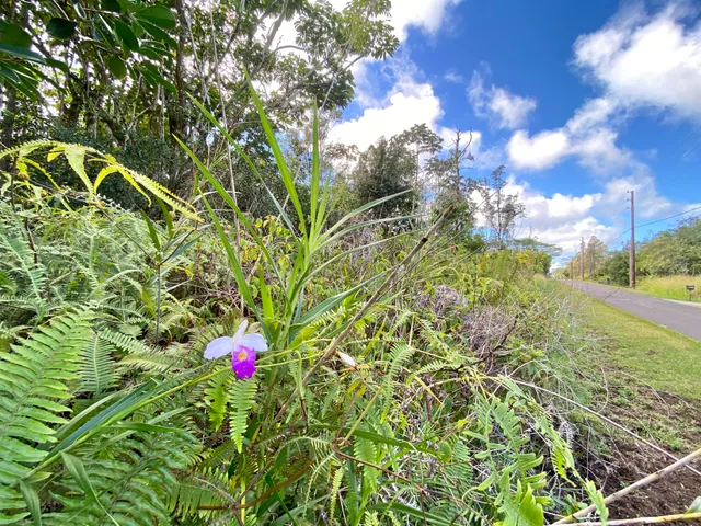 $22,500 | 15-2782 Lot 924 Maikoiko Street, Pahoa, HI 96778