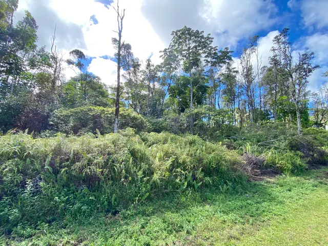 $22,500 | 15-2782 Lot 924 Maikoiko Street, Pahoa, HI 96778