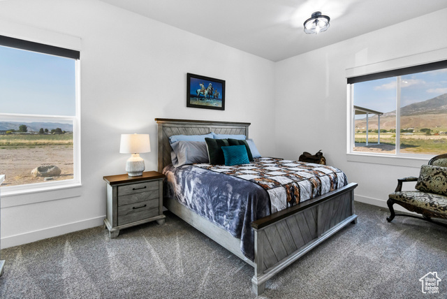 1952 Highway 118 Monroe, UT 84754 - Photo 45 of 88 Bedroom featuring carpet flooring and a mountain view