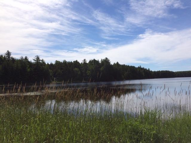 15 Union River Road Mariaville, ME 04605 - Photo 24 of 41 IMG_1337 - Copy