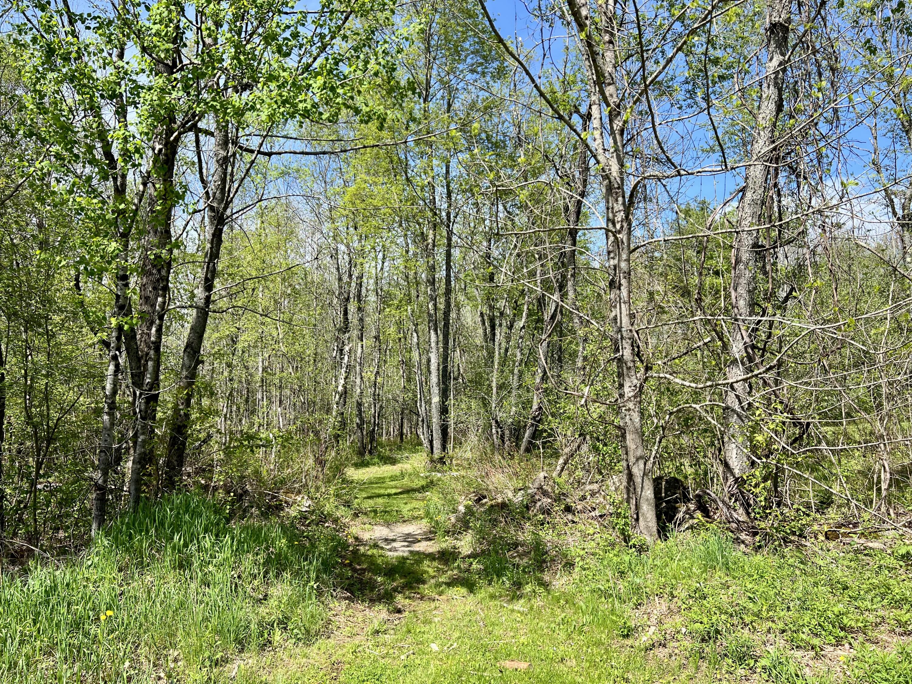 517 Bog Road Jackson, ME 04921 - Photo 20 of 21 IMG_4718