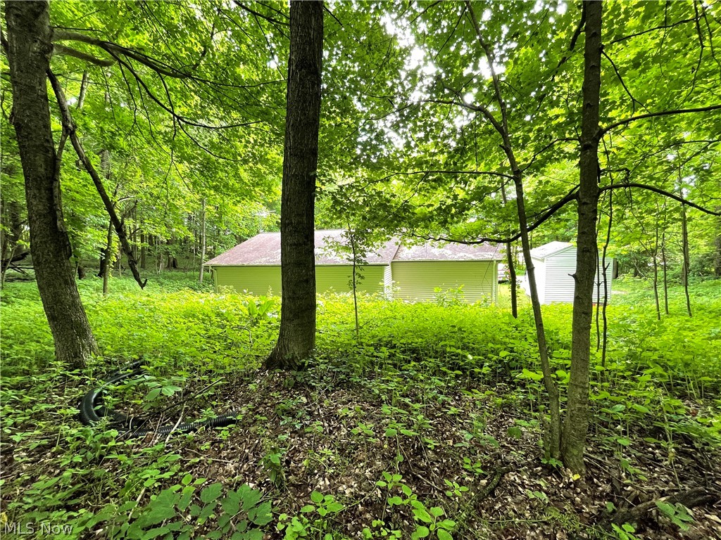 18809 Divelbiss Road Fredericktown, OH 43019 - Photo 22 of 27 Gallery Image 22