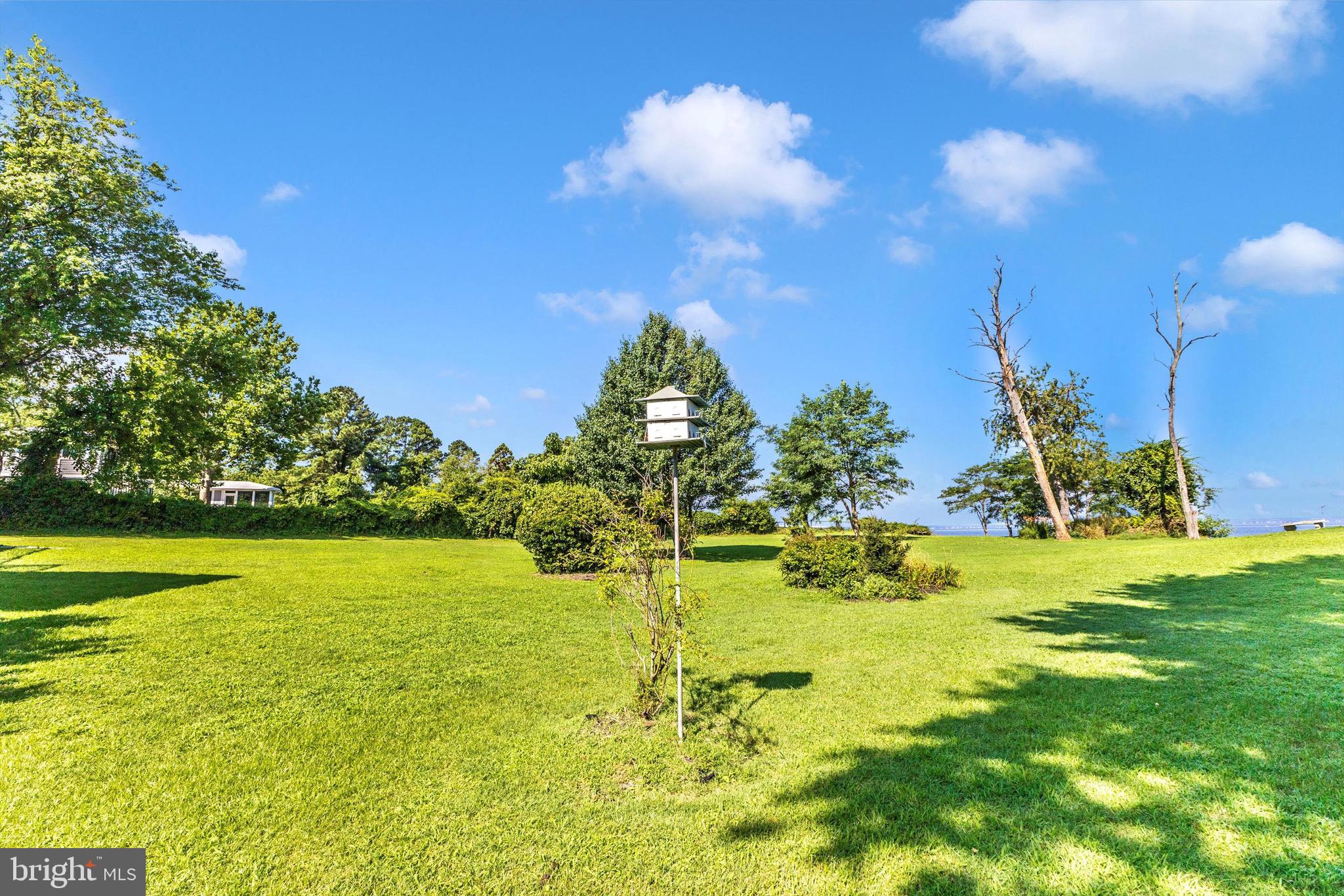 2705 Love Point Road Stevensville, MD 21666 - Photo 66 of 75 Back yard